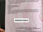 bán đất hoàng cầm dĩ an (3)