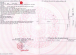 đất Lê Hồng Phong (2)