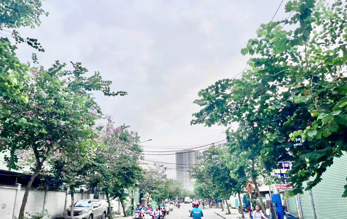 mặt tiền chiêu liêu