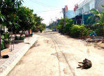 nhà bán Tân Hạnh Biên Hoà (12)