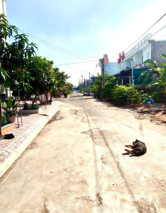 nhà bán Tân Hạnh Biên Hoà