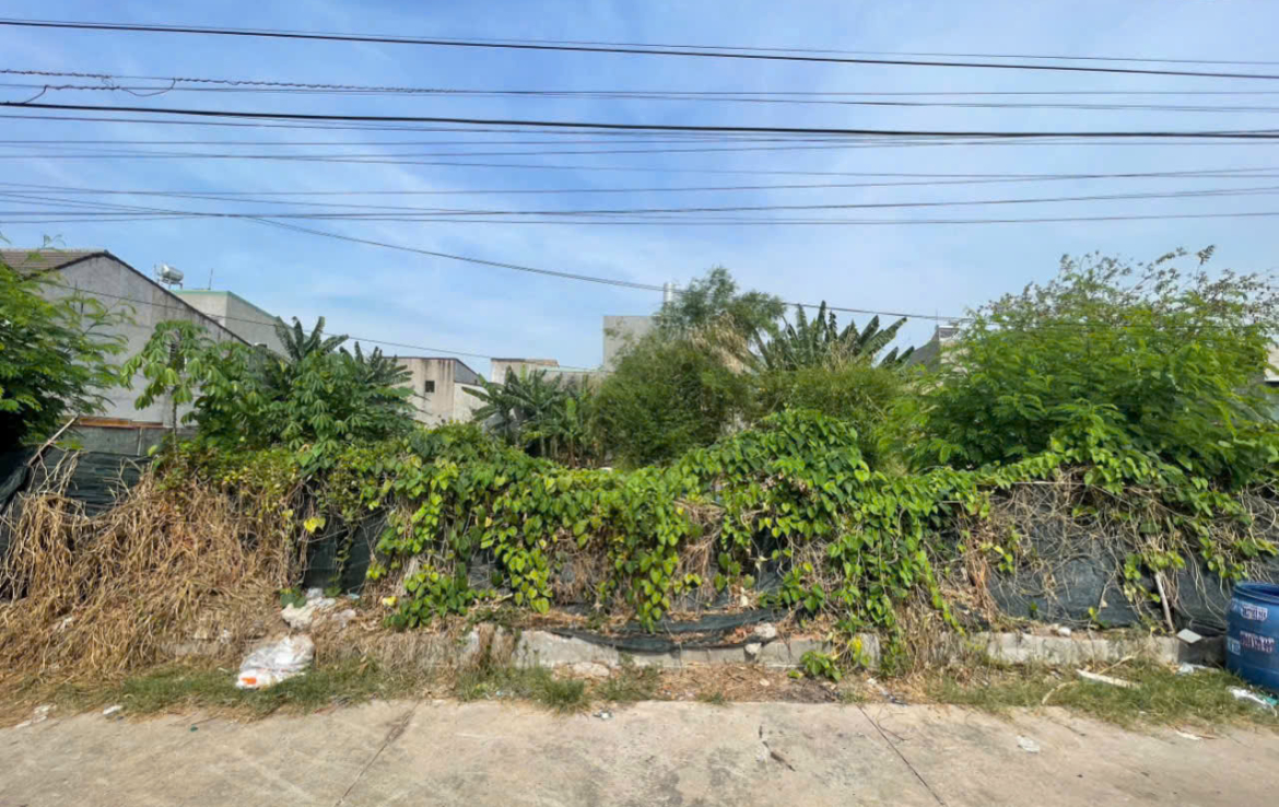 đất ngã ba ông xã