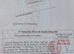 góc 2 mặt tiền đường thanh niên (2)