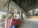 thuê nhà xưởng HCM (3)