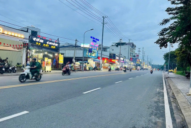 đất mặt tiền lương đình của