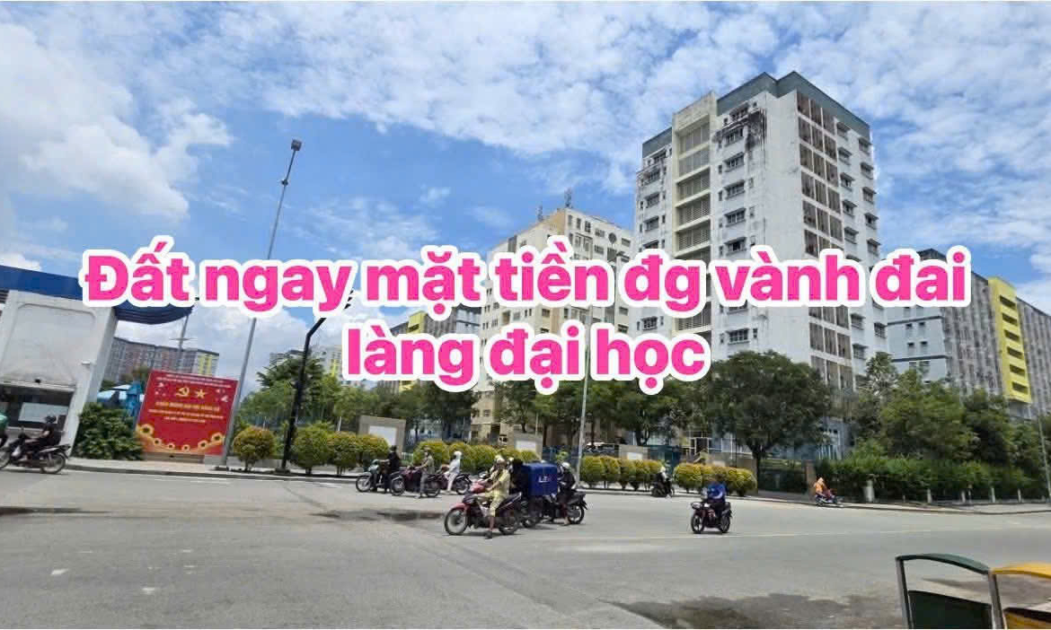đất mặt tiền lương đình của